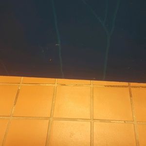 Meet your Posher, Tammie